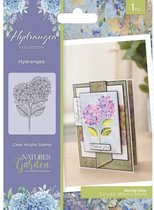 Natures Garden - Hydrangea - Clearstamp - Hydrangea