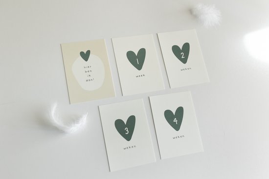 20x hippe baby mijlpaalkaartjes (A6 formaat) - milestone baby cards - cadeau zwangerschap - kado zwangerschap - babyshower cadeau - hoera zwanger - zwangerschapsverlof - kraamcadeaus - mijlpaalkaarten baby - baby kado - baby cadeau