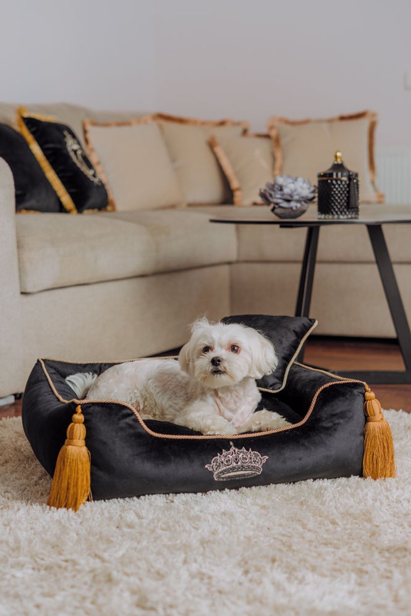 Luxe fluwelen vierkant huisdierenbed - Hondenbed - Velvet Dog Bed - Wasbaar - Zwart S