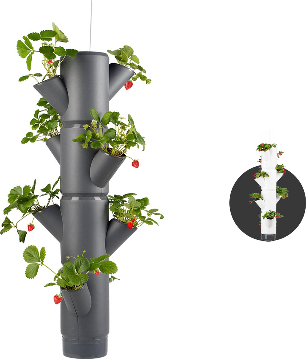 Gusta Garden - Sissi Strawberry - Aardbeien Planten - Aardbeienzak - Kweekbak - Kweektafel - Plantentoren met 4 Levels - Hangend Antraciet