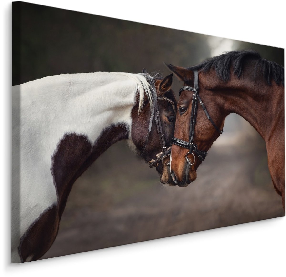karo-art Schilderij - Prachtige liefde tussen 2 paarden, premium print Multikleur