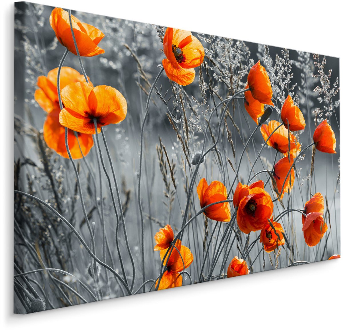 karo-art Schilderij - Prachtige Klaprozen , Wanddecoratie , Premium print Multikleur