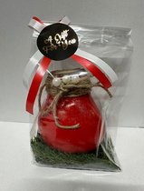Wax Amaryllis Rood in leuke geschenkverpakking - relatiegeschenk