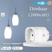 Slimme Dimbare Stekker | Smart Plug | Dimbaar | Smart Plug | Wifi | 200W | Stembediening | Geschikt voor bijna alle platformen