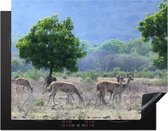 KitchenYeah® Inductie beschermer 77x59 cm - Wilde dieren door het landschap van het Nationaal Park Baluran - Kookplaataccessoires - Afdekplaat voor kookplaat - Inductiebeschermer - Inductiemat - Inductieplaat mat
