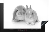 KitchenYeah® Inductie beschermer 81.6x52.7 cm - Twee konijnen - zwart wit - Kookplaataccessoires - Afdekplaat voor kookplaat - Inductiebeschermer - Inductiemat - Inductieplaat mat