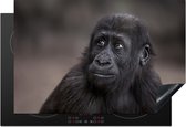KitchenYeah® Inductie beschermer 76x51.5 cm - Close-up van een gorilla - Kookplaataccessoires - Afdekplaat voor kookplaat - Inductiebeschermer - Inductiemat - Inductieplaat mat