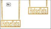 6x Ketting met hanger Hatseflats - Carnaval optocht evenement Thema feest party festival