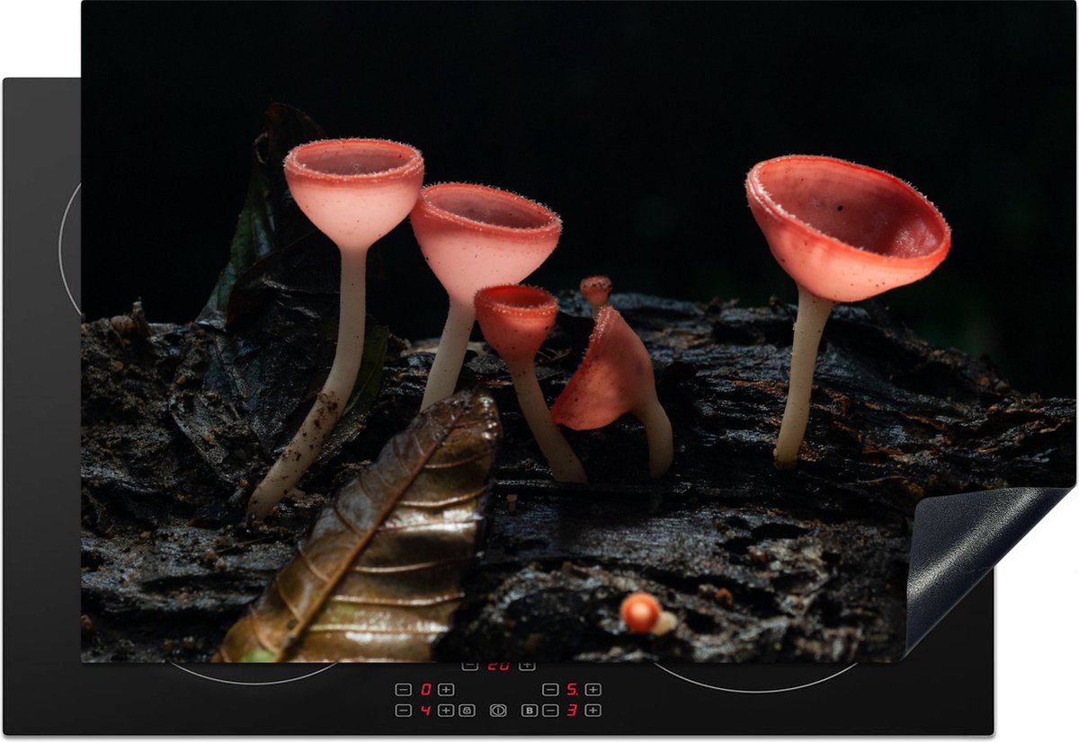 KitchenYeah® Inductie beschermer 77x51 cm - Kleurrijke paddenstoelen op een zwarte achtergrond - Kookplaataccessoires - Afdekplaat voor kookplaat - Inductiebeschermer - Inductiemat - Inductieplaat mat