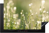 KitchenYeah® Inductie beschermer 77x51 cm - Vroege dauw op grassprieten - Kookplaataccessoires - Afdekplaat voor kookplaat - Inductiebeschermer - Inductiemat - Inductieplaat mat