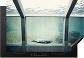 KitchenYeah® Inductie beschermer 77x51 cm - Zeehond in aquarium - Kookplaataccessoires - Afdekplaat voor kookplaat - Inductiebeschermer - Inductiemat - Inductieplaat mat