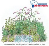 Borderpakket 'Halfschaduw / zon' - 18 vaste planten - 4 m² - gratis tuintekening