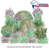Borderpakket 'Zee border' - zeewindbestendige planten - 17 planten - 4 m²