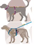 Harnais pour chien Annyx harnais Y FUN OPEN taille XS Grijs- Argent adapté à un tour de poitrine de 43 à 52 cm