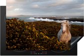 KitchenYeah® Inductie beschermer 81.2x52 cm - Wilde Welsh pony op het eiland Anglesey in Noord Wales - Kookplaataccessoires - Afdekplaat voor kookplaat - Inductiebeschermer - Inductiemat - Inductieplaat mat
