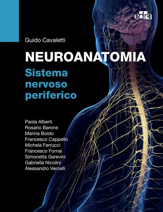 NEUROANATOMIA Sistema nervoso periferico - cover