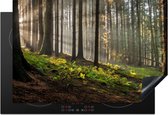 KitchenYeah® Inductie beschermer 78x52 cm - Zon - Takken - Bomen - Bos - Natuur - Kookplaataccessoires - Afdekplaat voor kookplaat - Inductiebeschermer - Inductiemat - Inductieplaat mat