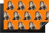 KitchenYeah® Inductie beschermer 77x51 cm - Huisdier - Patroon - Oranje - Kookplaataccessoires - Afdekplaat voor kookplaat - Inductiebeschermer - Inductiemat - Inductieplaat mat