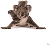 Fotobehang - Koala 300x280cm - Vliesbehang