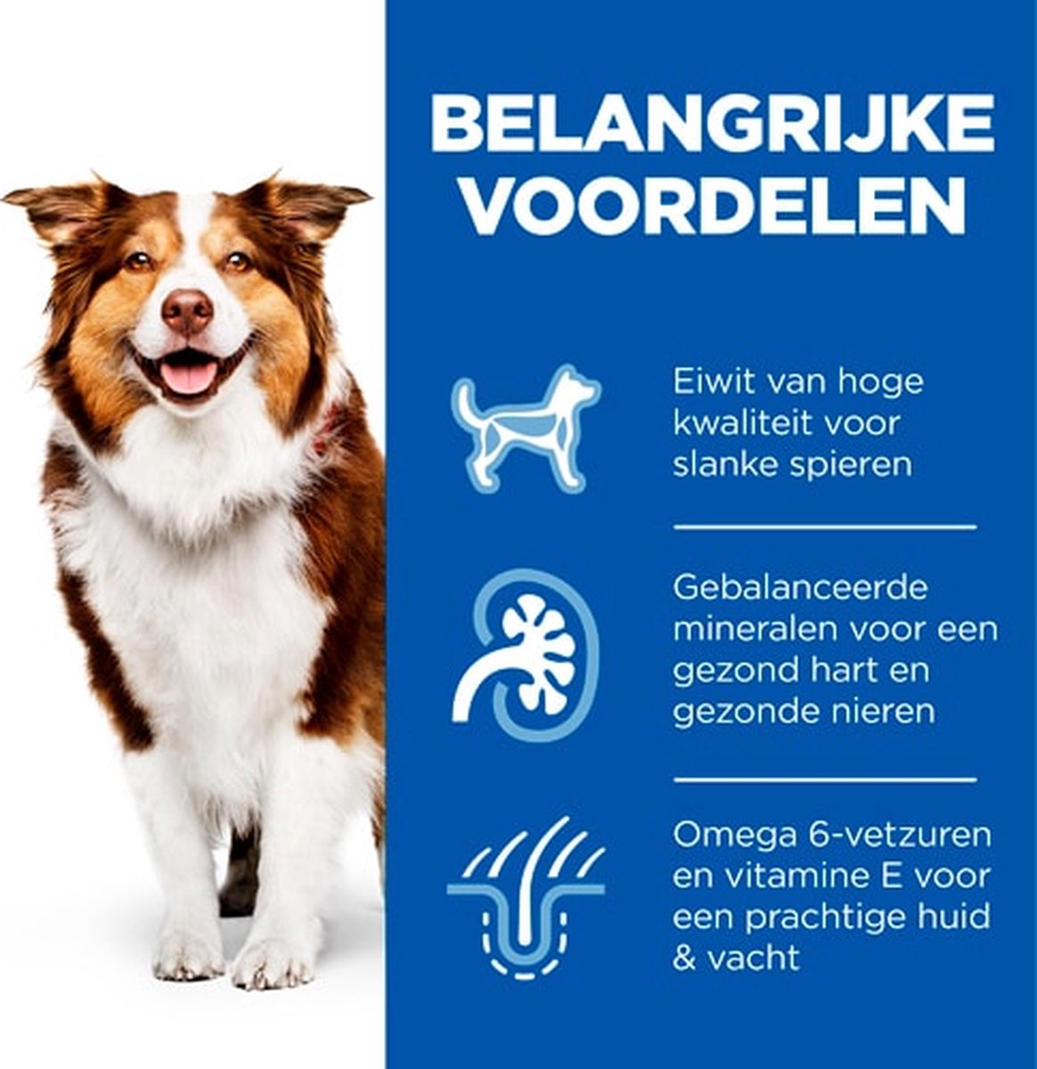 Hill's Science Plan Mature Adult Natvoer Hond met Kip 12x370g thumbnail 3