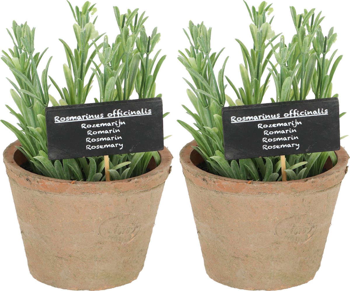 Esschert Design Kunstplant/kruiden rosemarijn - 2x - in oude terracotta pot - 18 cm - kruiden