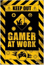 Poster: Gamer at Work