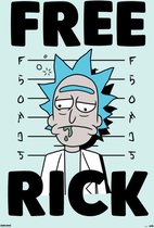 Affiche Grupo Erik Rick et Morty Free Rick - 61x91,5cm