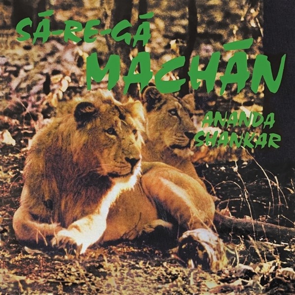 Ananda Shankar - Sá-Re-Gá Machán (LP)