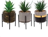 Pot de fleurs MALIBU avec structure en métal et plante en plastique dimension 10x10x15cm en 3 modèles