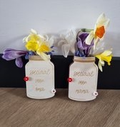 Speciaal voor mama bloemen potje - hout - Moederdag - Bloemen plukken - Kinderen - Kleuter - Peuter - Cadeau - Verven - Schilderen - Tekenen - Bloem