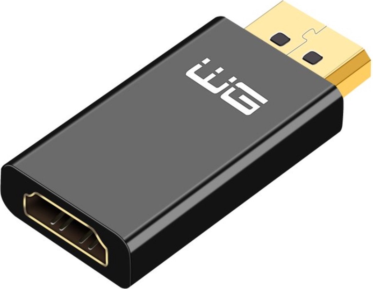 Winner Group 12024 video kabel adapter DisplayPort HDMI