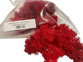 Rendiermos, mos rood 50 gram. Geschikt voor decoraties, mosschilderijen, moswanden, bloemstukjes