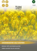 Semences Jardin de Bruijn® - Engrais vert Moutarde jaune - plant polyvalente - pour 80m2