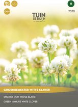 Tuin de Bruijn® zaden - Groenbemester Witte Klaver - verrijkt de bodem met stikstof - grondverbeteraar - Goed voor ca. 100 m2