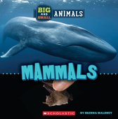 Wild World - Big and Small: Mammals (Wild World)
