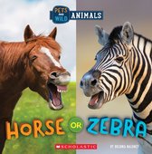 Wild World - Horse or Zebra (Wild World: Pets and Wild Animals)