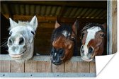 Poster Paarden - Dieren - Vacht - Stal - 30x20 cm