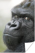 Poster Een verbazingwekkende Gorilla - 120x180 cm XXL