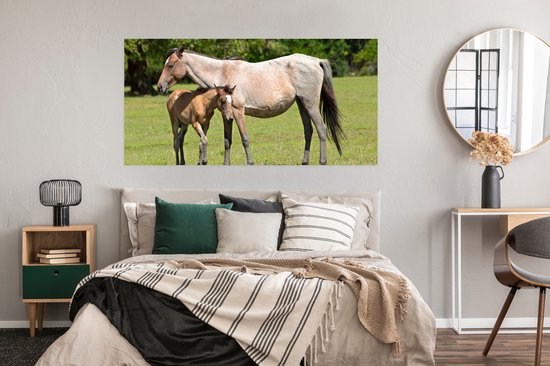 Affiche Paarden - Herbe - Ombre - 150x75 cm