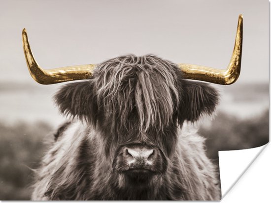 Affiche Highlander écossais - Zwart - Wit - Or - 120x90 cm