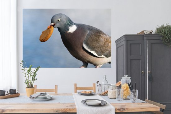 Un vilain pigeon avec un biscuit dans la bouche Poster 180x120 cm - Tirage photo sur Poster (décoration murale salon / chambre) / Poster Vogels XXL / Groot format!