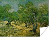 Poster Olijfgaard - Vincent van Gogh - 40x30 cm