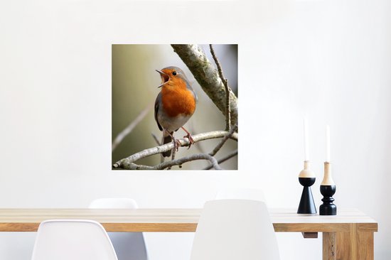 Affiche Robin sur une branche d'arbre 50x50 cm - Tirage photo sur Poster (décoration murale salon / chambre)