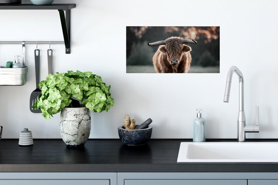 Affiche Highlander écossais - Animal - Coucher de soleil - 40x20 cm