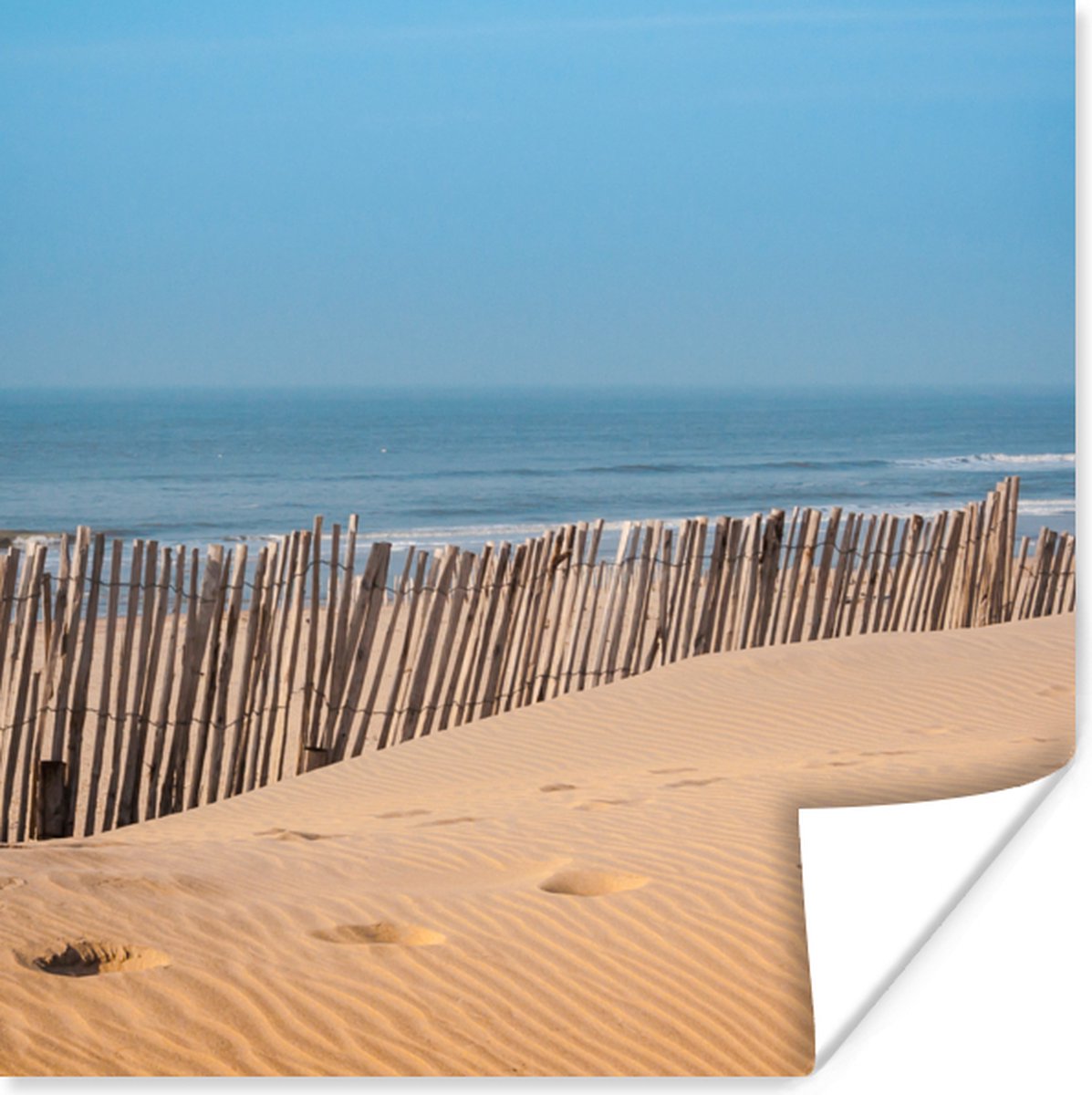 Poster 50x50 cm - Strand - Zee - Palen - Posters - Kamer decoratie - Wanddecoratie woonkam