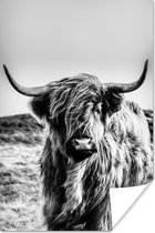 Poster Schotse hooglander - Zwart - Wit - 20x30 cm