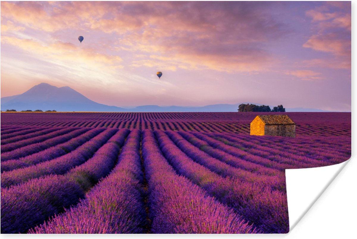 Poster Lavendel - Luchtballon - Berg - Paars - 90x60 cm