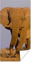 Poster Afrikaanse olifant in het zand - 60x120 cm
