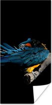 Poster Vogel - Veren - Tak - Zwart - 75x150 cm