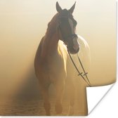 Poster Paard - Licht - Zand - 50x50 cm